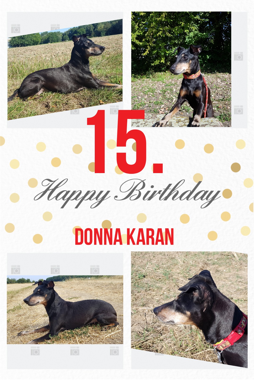 Donna Collage 15 Donna Collage 15